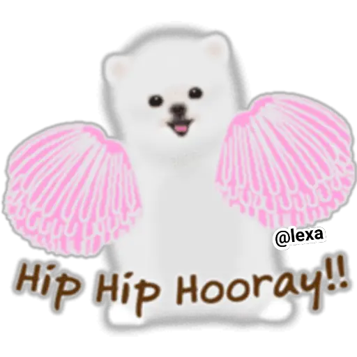 🌼WHITE baby DOG🐶 