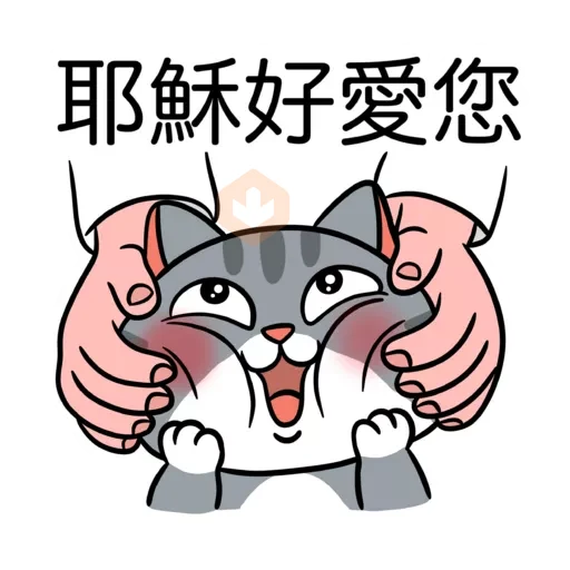 小恩典貓子感謝篇 sticker 26