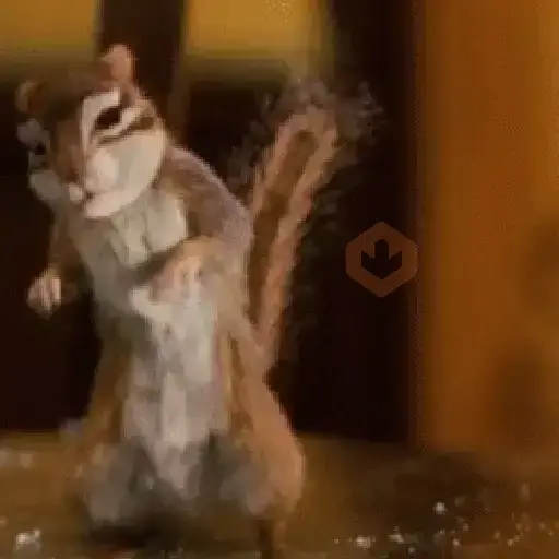 Ardilla volando🐿️👋🏻 TIKTOK 📲 sticker 11