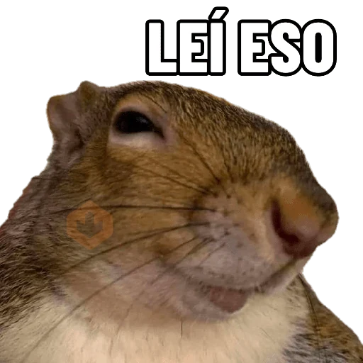 Ardillas 🐿 sticker 16
