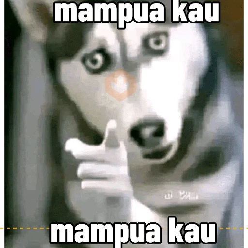 anime sticker 13