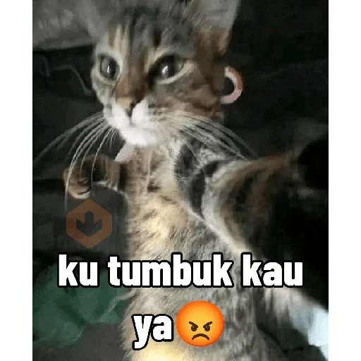 anime sticker 16