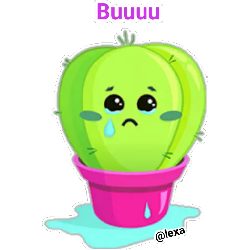 🏜 cactus 🏜 