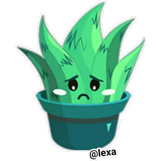 🏜 cactus 🏜 