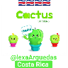 🏜 cactus 🏜 