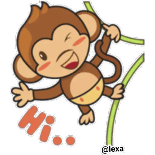 🐒Cute Monkey 🐵 