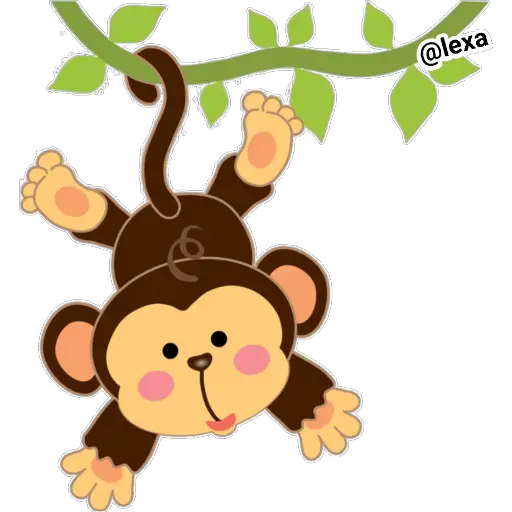 🐒Cute Monkey 🐵 