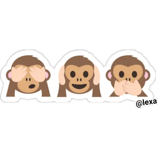 🐒Cute Monkey 🐵 