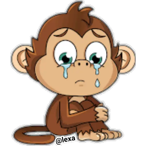 🐒Cute Monkey 🐵  preview