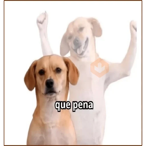 TikTok | Texto Brat 😎 sticker 11