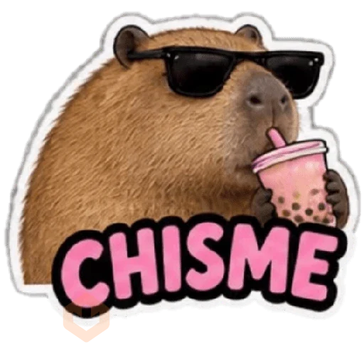 Capibara sin contexto 🤎🤍 sticker 12