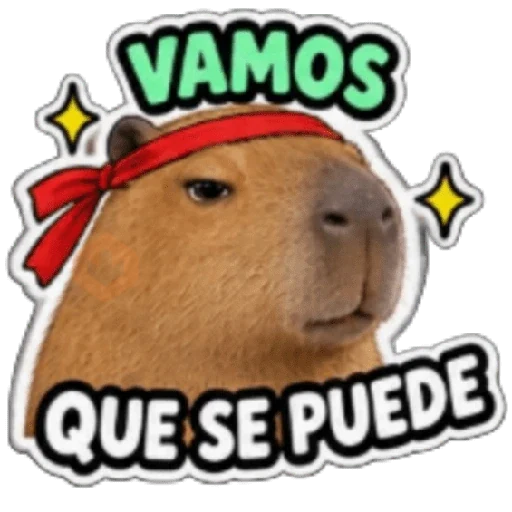 Capibara sin contexto 🤎🤍 sticker 20