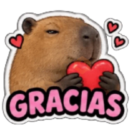 Capibara sin contexto 🤎🤍 sticker 14