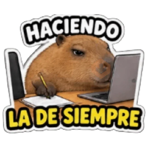 Capibara sin contexto 🤎🤍 sticker 11