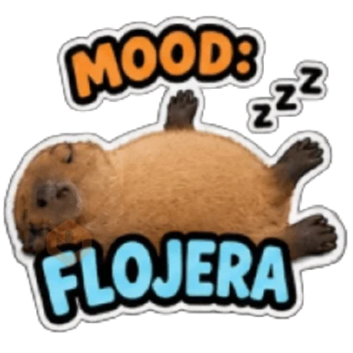 Capibara sin contexto 🤎🤍 sticker 19