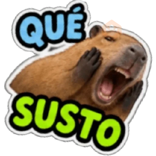 Capibara sin contexto 🤎🤍 sticker 15