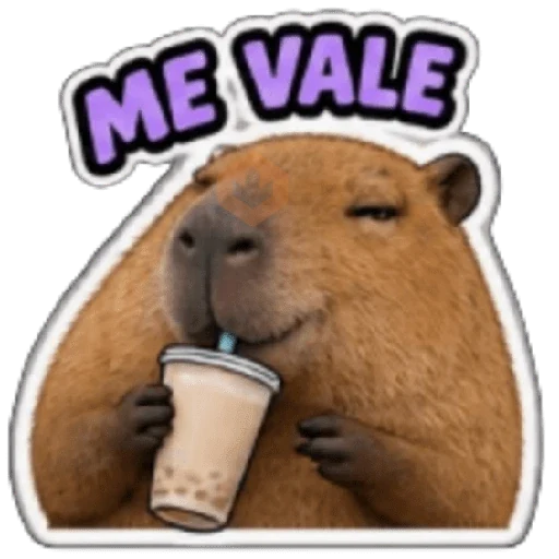 Capibara sin contexto 🤎🤍 sticker 18