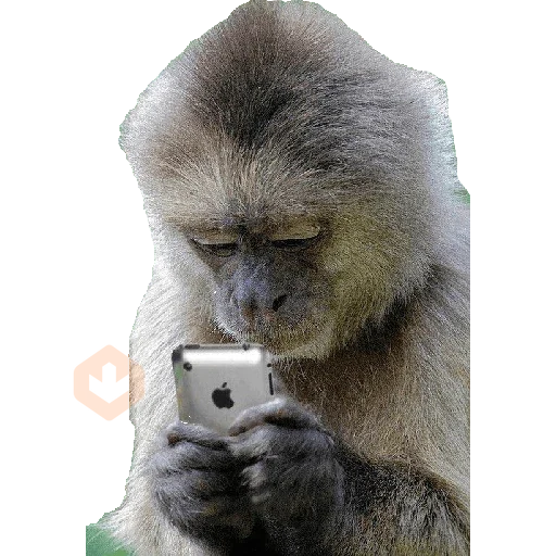 MONITOS sticker 19