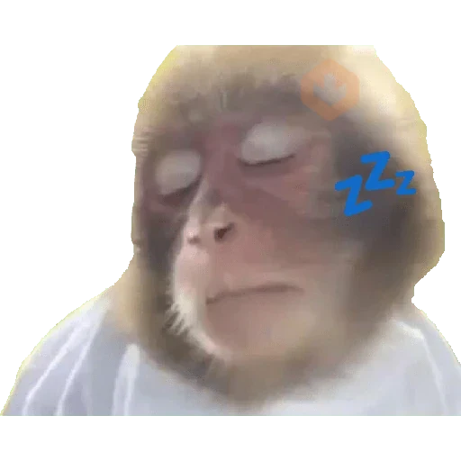 MONITOS sticker 15