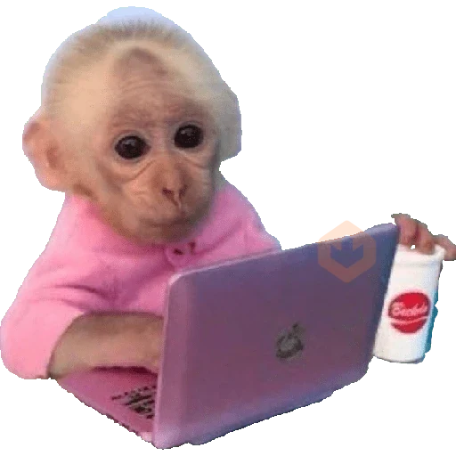 MONITOS sticker 17
