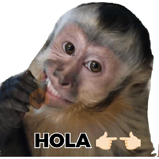 MONITOS sticker 16