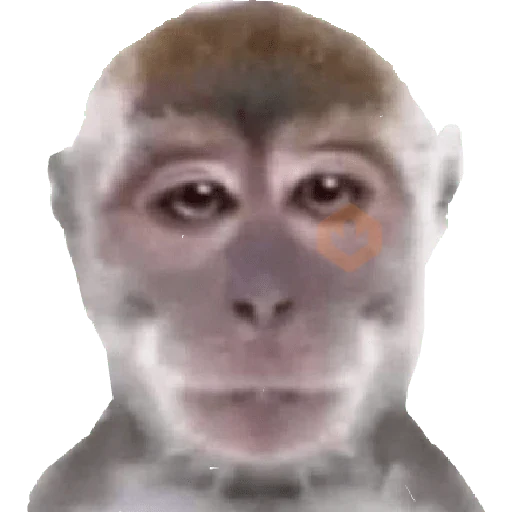 MONITOS sticker 11