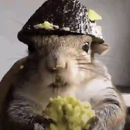 Ardilla Tiktok🐿️ sticker 22