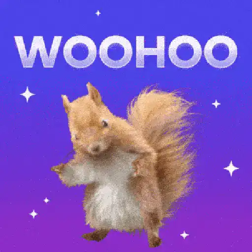 Ardilla Tiktok🐿️ sticker 20