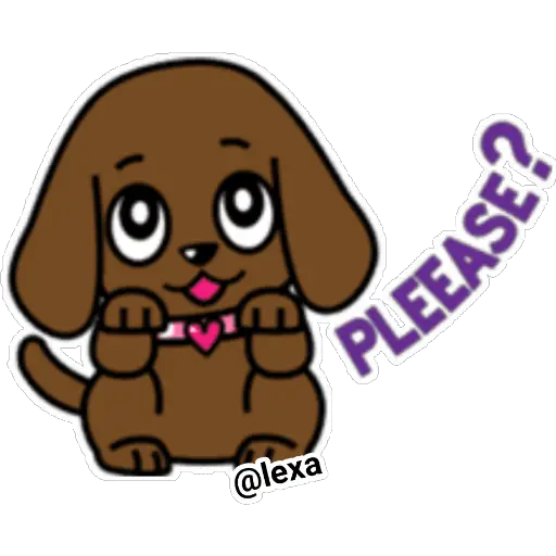 🐶PUPPY love💗 