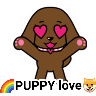 🐶PUPPY love💗 