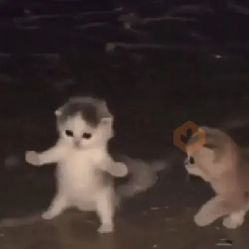 reacciones tiktok animadas sticker 17