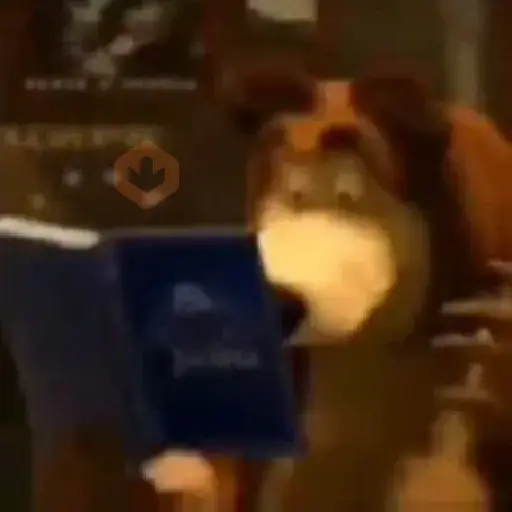 reacciones tiktok animadas sticker 28
