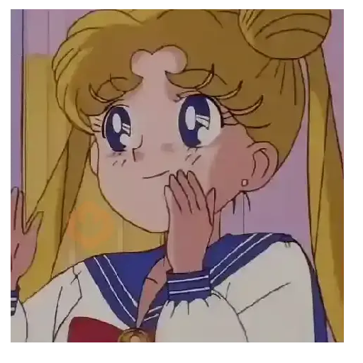 Sailor Moon ✨Anime 💕 sticker 16