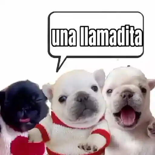 pibble 🐶🐾perros sticker 14