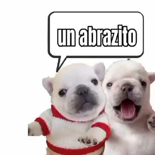 pibble 🐶🐾perros sticker 13