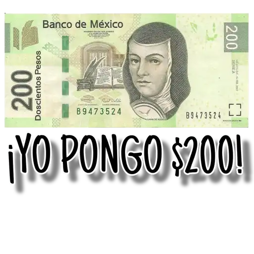 ¡ORGANIZA TU PEDA! 