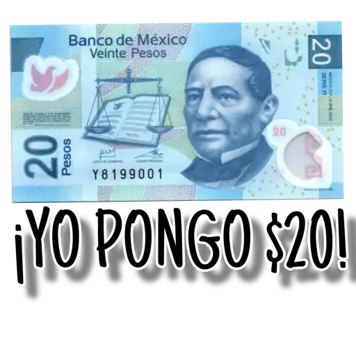 ¡ORGANIZA TU PEDA! 