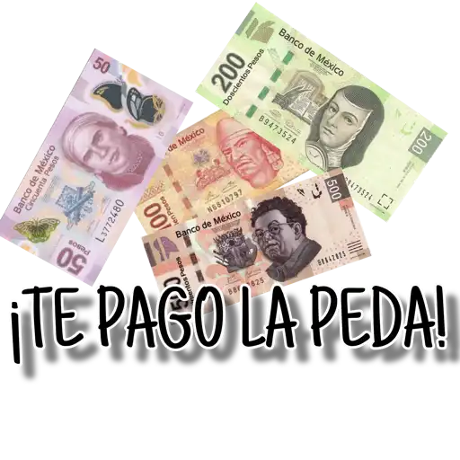 ¡ORGANIZA TU PEDA! 