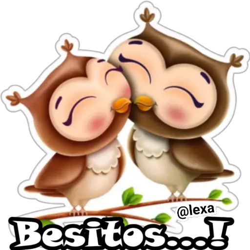 Búho 🦉 Cute 🍃 