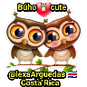 Búho 🦉 Cute 🍃 
