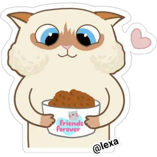 Cat🐱coco 