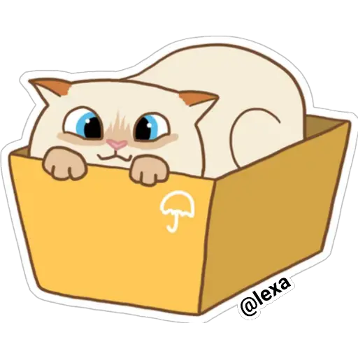 Cat🐱coco 
