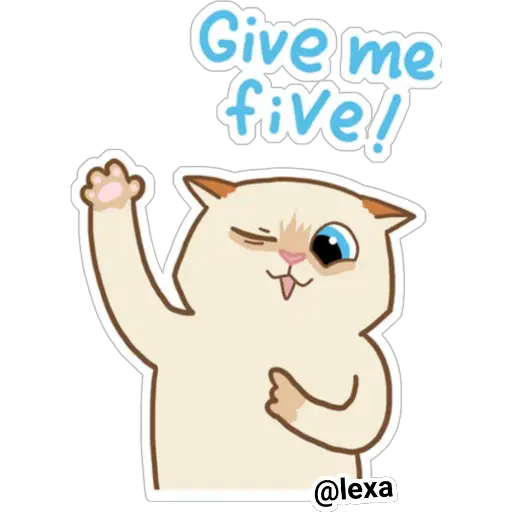 Cat🐱coco  preview
