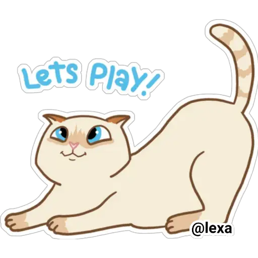 Cat🐱coco 