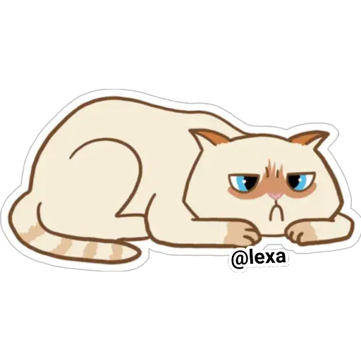 Cat🐱coco 