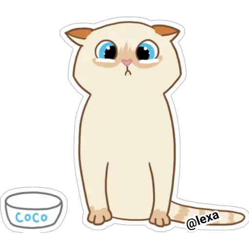 Cat🐱coco  preview