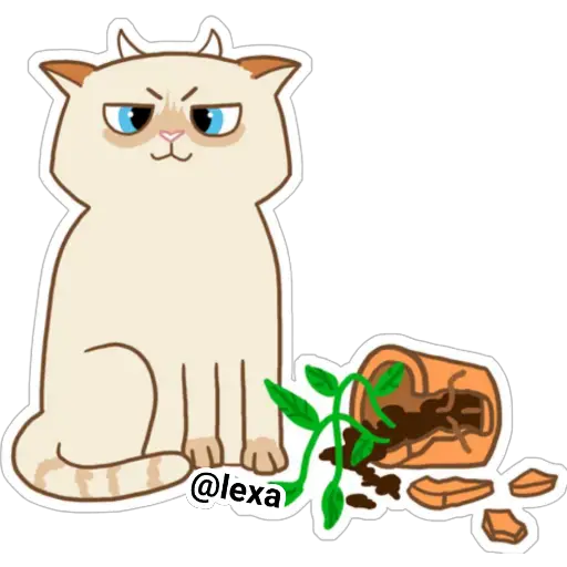 Cat🐱coco  preview