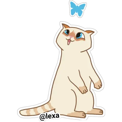Cat🐱coco 
