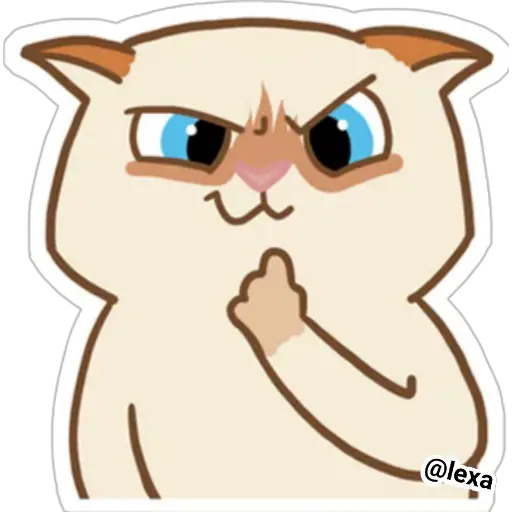 Cat🐱coco 
