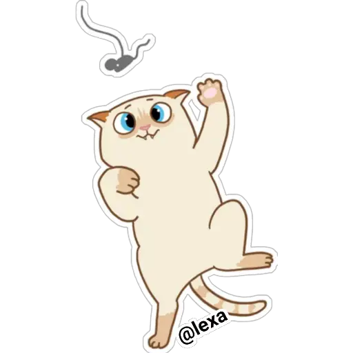 Cat🐱coco 